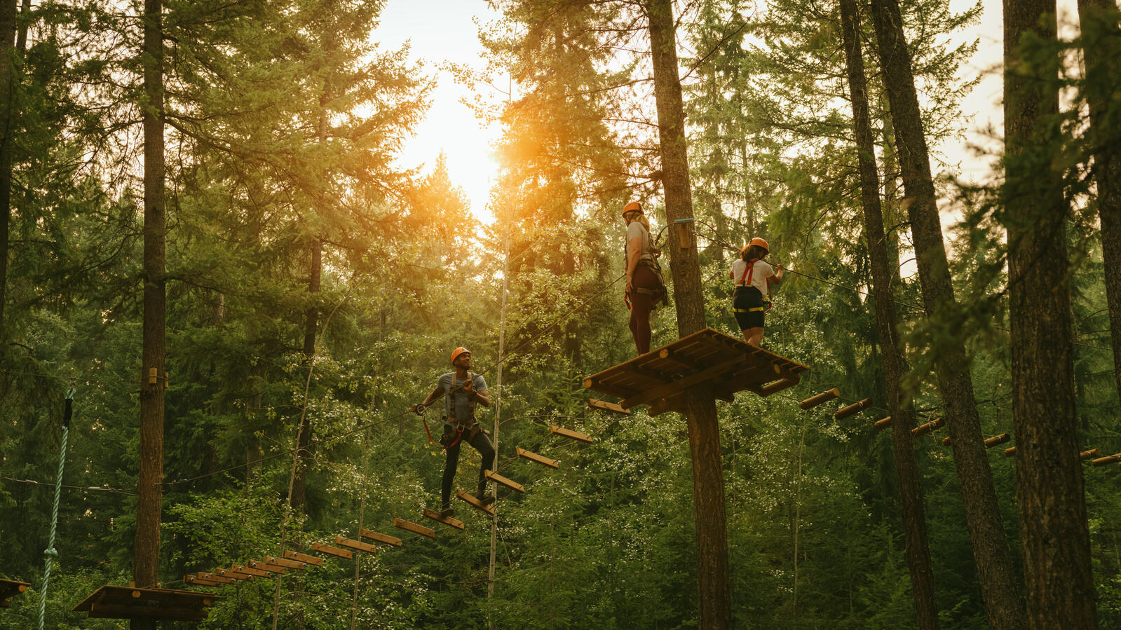 Golden Skybridge Treetop Adventure Course